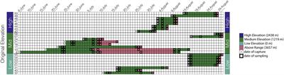 Elevation Correlates With Significant Changes in Relative Abundance in Hummingbird Fecal Microbiota, but Composition Changes Little